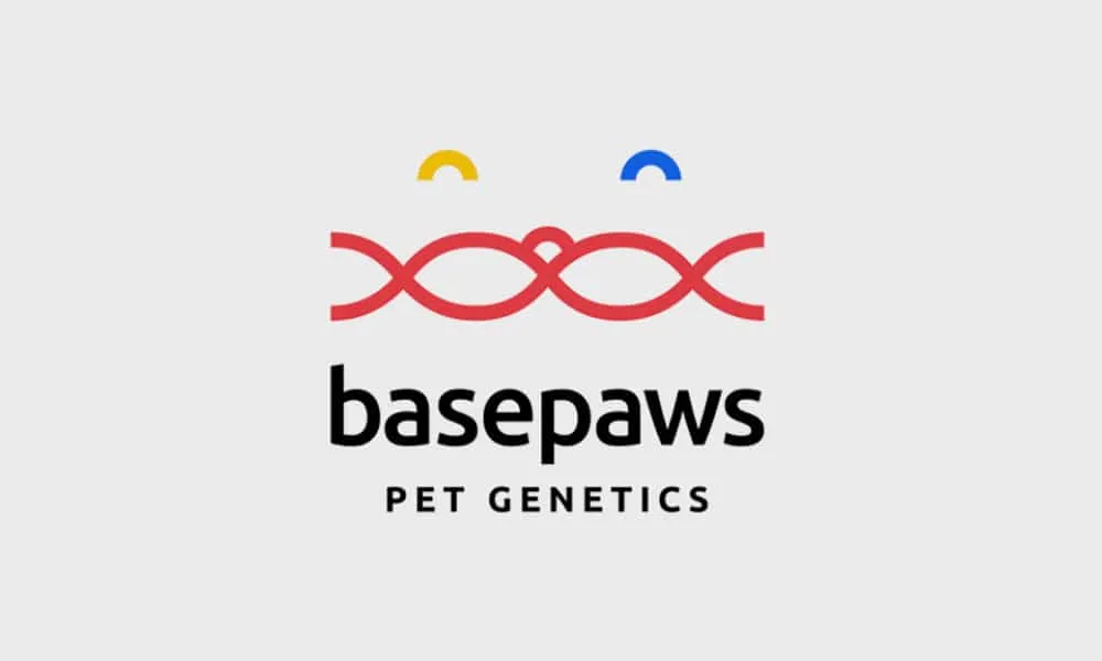Basepaws